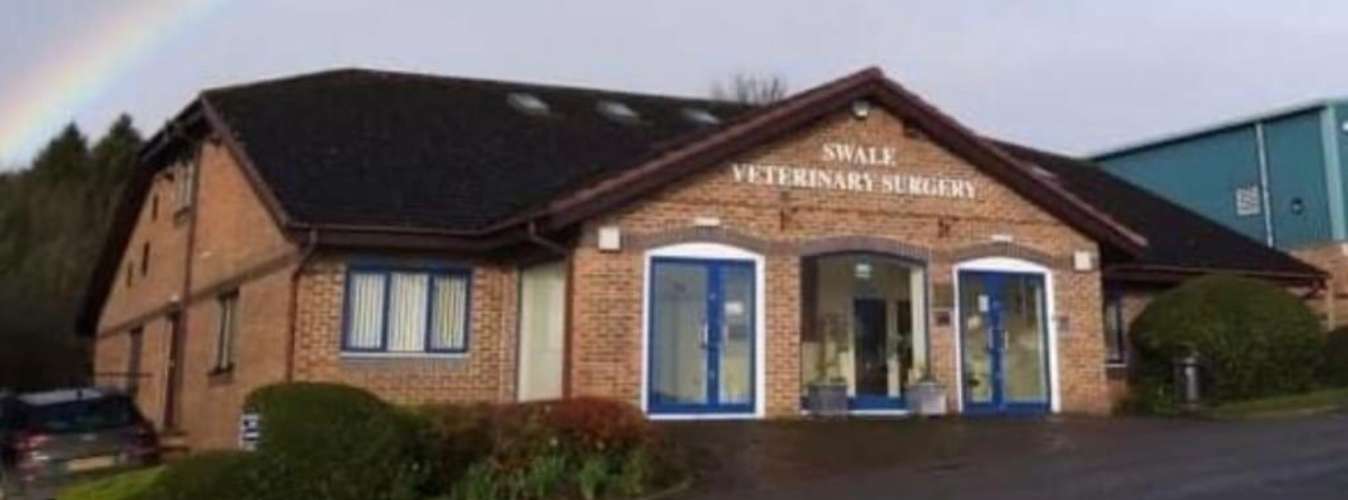 Welcome to Swale Vets